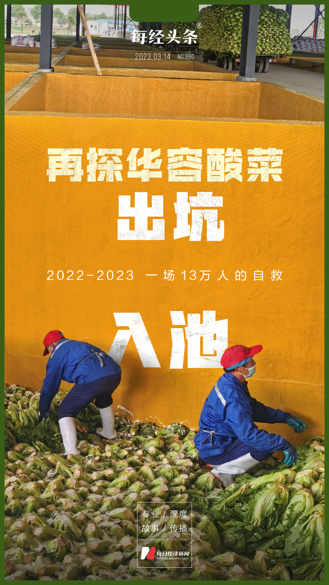 再探华容：“3·15”曝光一周年，一场13万酸菜从业者的自救