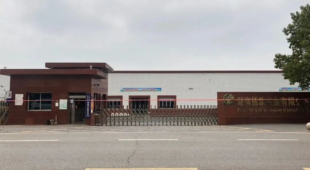 再探华容：“3·15”曝光一周年，一场13万酸菜从业者的自救