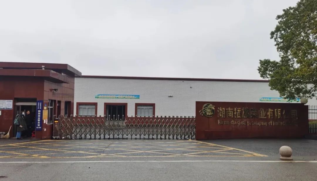 再探华容：“3·15”曝光一周年，一场13万酸菜从业者的自救