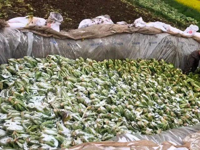 再探华容：“3·15”曝光一周年，一场13万酸菜从业者的自救