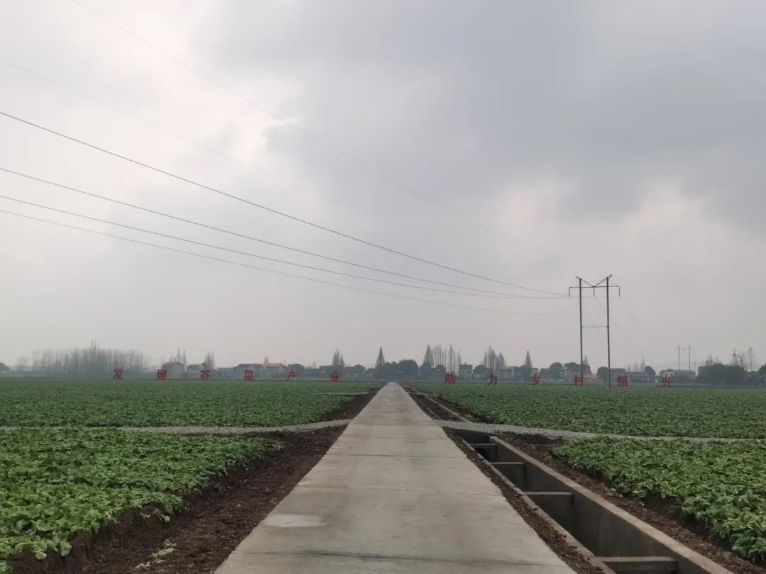 再探华容：“3·15”曝光一周年，一场13万酸菜从业者的自救